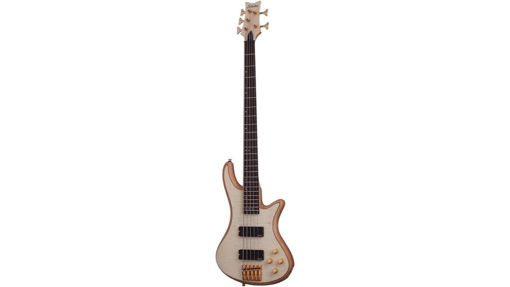 five string electric bass