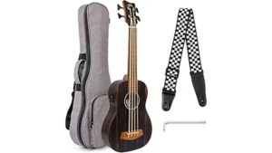 fretless baritone ukulele bass