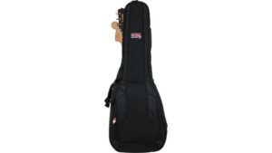 gator cases gig bag review