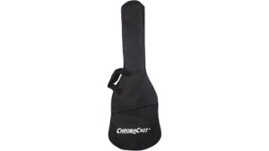 gig bag for guitar