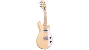 gold tone mandolin review