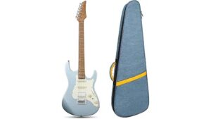 guitar bag review insights