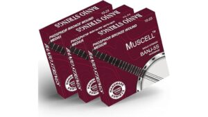 high quality banjo strings
