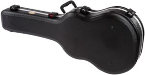 ibanez shaped case review