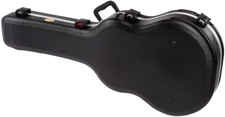 ibanez shaped case review