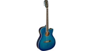 james neligan guitar review