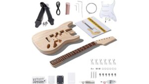 leo jaymz diy review