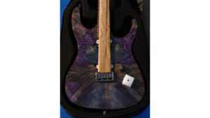 leo jaymz electric guitar review