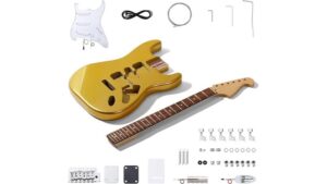 leo jaymz st guitar kit