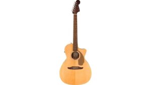 newporter player guitar review