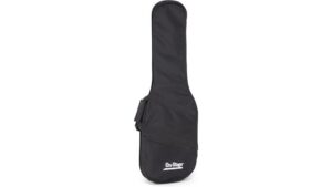 padded guitar gig bag