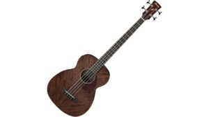 portability meets affordable bass