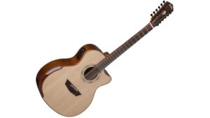 rich twelve string sound