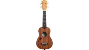 satin mahogany concert ukulele