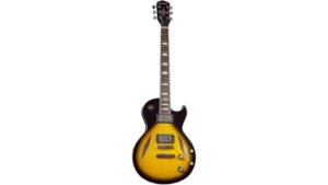 semi hollow body electric guitar