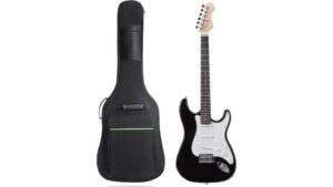 soft electric guitar bag