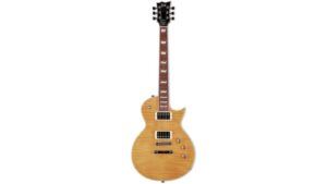 solid guitar with fancy looks