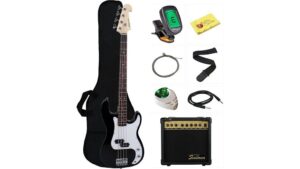 stedman bass guitar bundle review