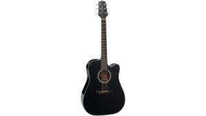 takamine acoustic electric guitar review