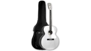 tario jumbo acoustic guitar