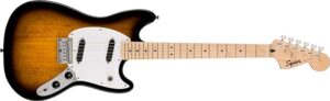 versatile affordable bold electric guitar