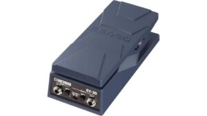 versatile dual expression control