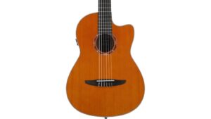 versatile nylon electric guitar