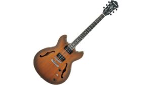 versatile semi hollow artcore
