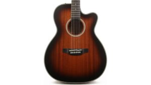 warm sounding acoustic electric guitar