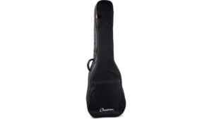 acoustic bass gig bag