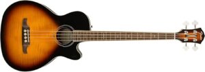 acoustic bass guitar review