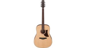 acoustic dreadnought guitar review