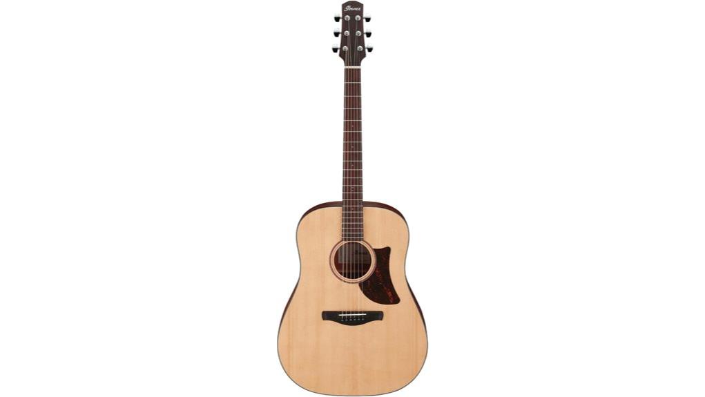 acoustic dreadnought guitar review
