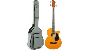 acoustic electric bass guitar