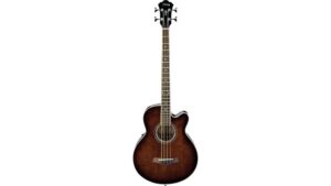 acoustic electric bass review