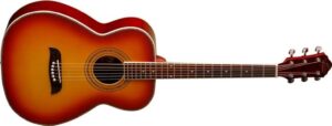 acoustic electric beginner guitar