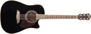 acoustic electric beginner guitar