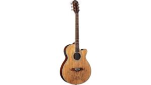 acoustic electric dreadnought guitar review