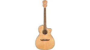 acoustic electric dreadnought guitar