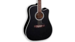 acoustic electric guitar excellence