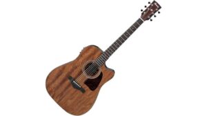 acoustic electric guitar review