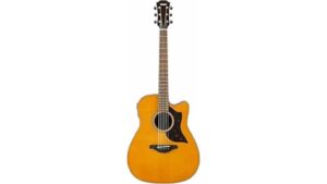 acoustic electric guitar review