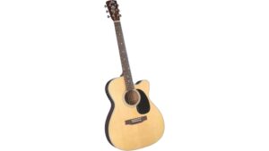 acoustic electric guitar review