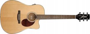 acoustic electric guitar review