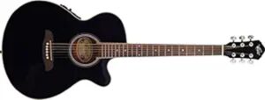 acoustic electric guitar review