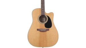 acoustic electric guitar review