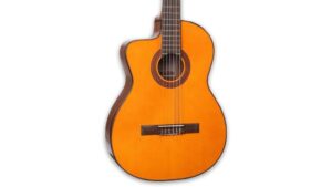 acoustic electric guitar review