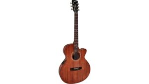 acoustic electric guitar review