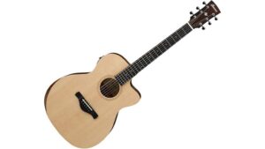 acoustic electric guitar review