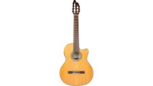 acoustic electric guitar review